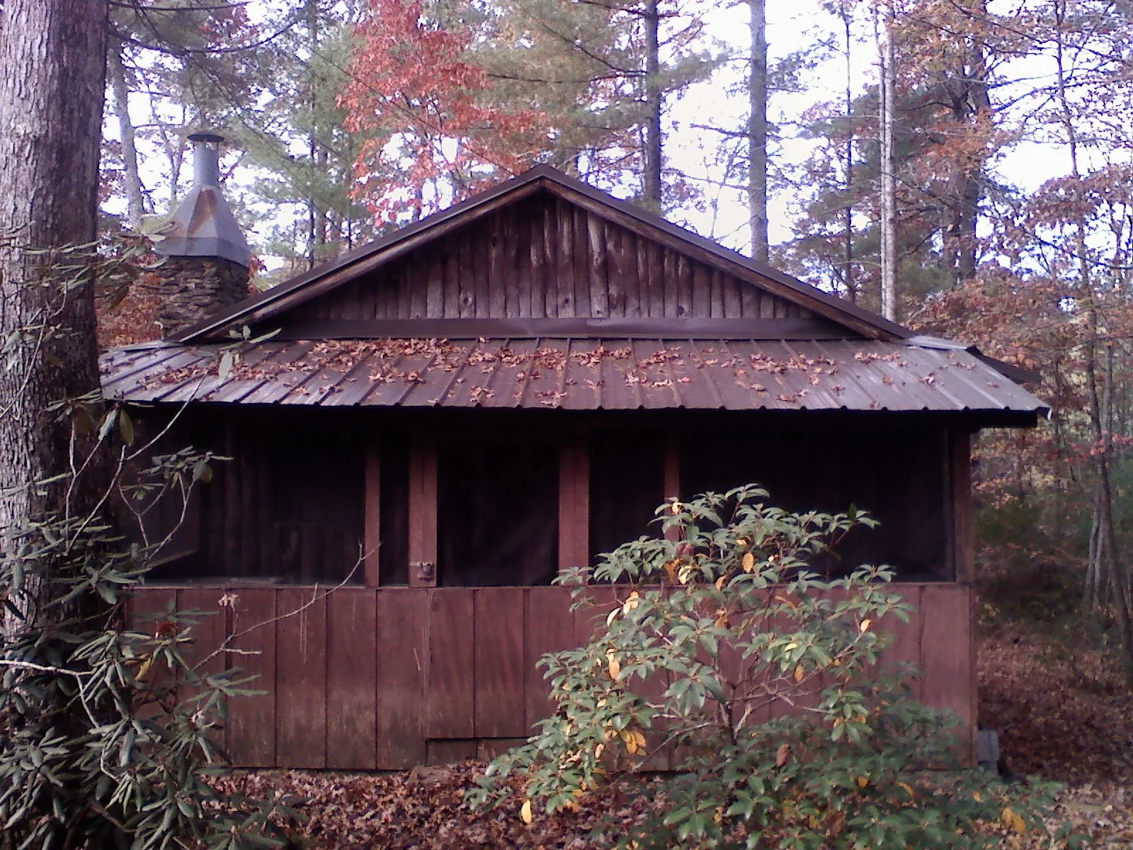 Metal roof over the screened porch of a rustic cabin in Garfield